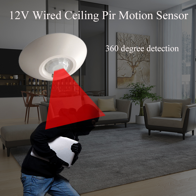 12 V verkabelter PIR-Bewegungs – Motion Sensor Pir Wired Bewertung und Preis